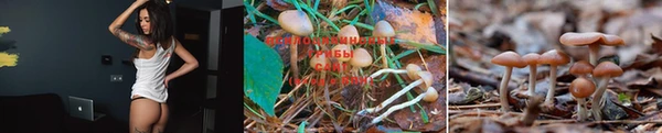 круглые Козельск