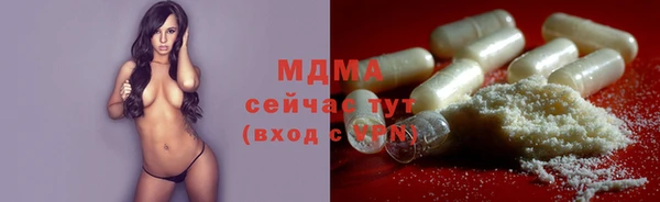 индика Алзамай