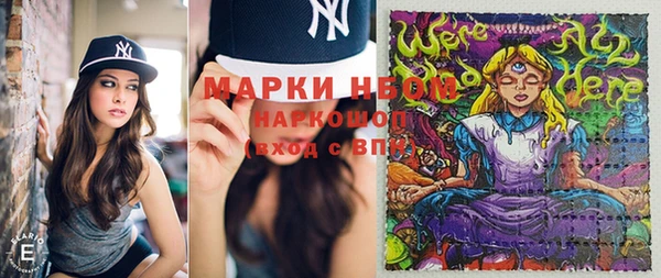 индика Алзамай