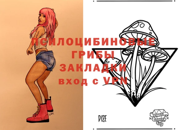индика Алзамай