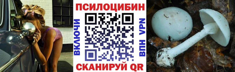 ссылка на мегу ССЫЛКА  Каневская  Галлюциногенные грибы Magic Shrooms  закладка 